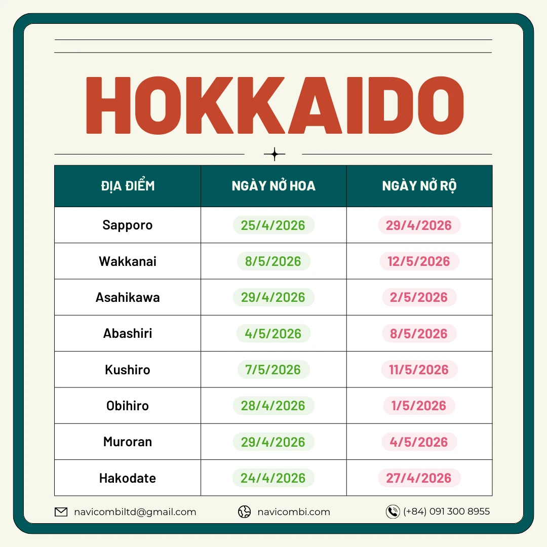 Lịch nở hoa anh đào vùng Hokkaido 2026