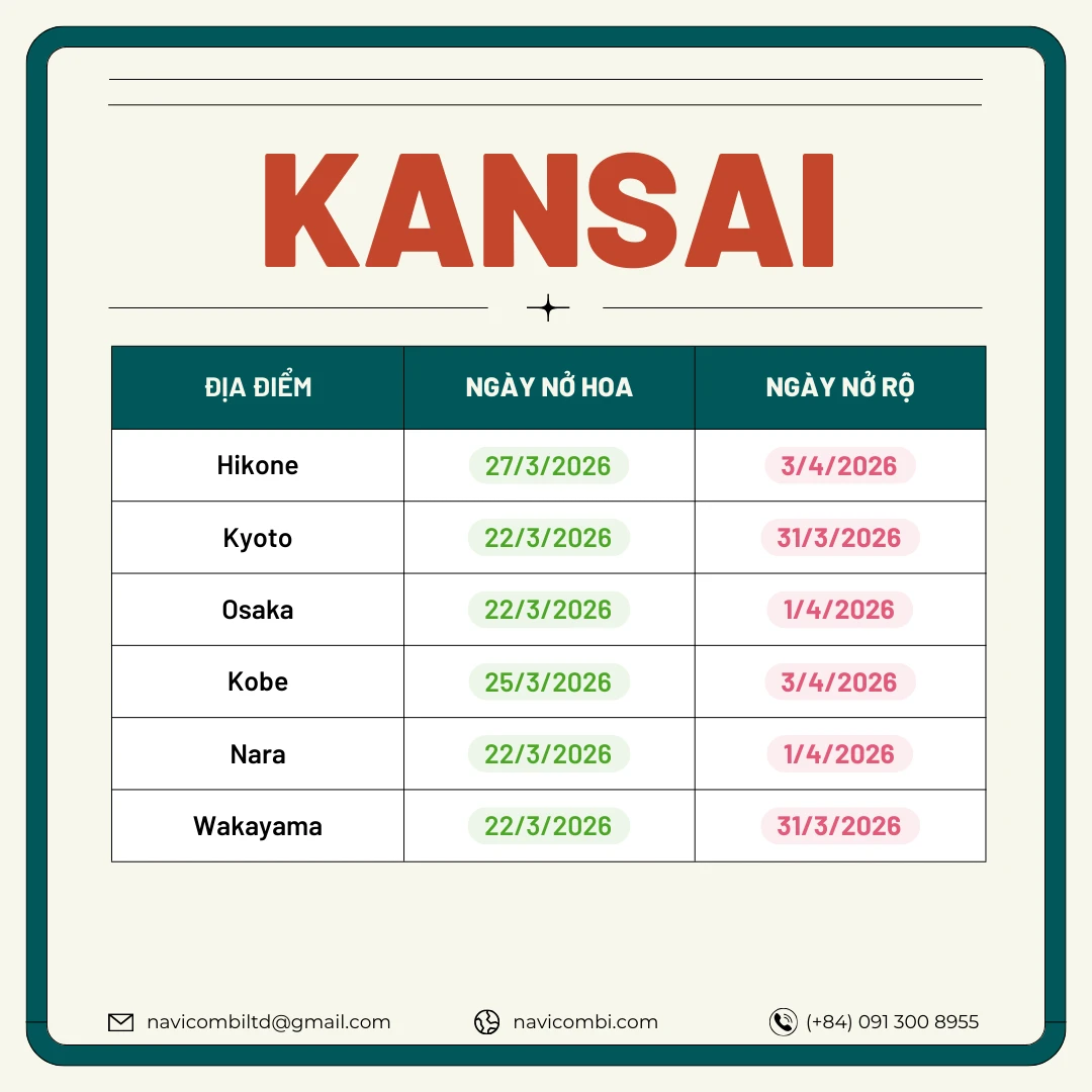 Lịch nở hoa anh đào vùng Kansai 2026