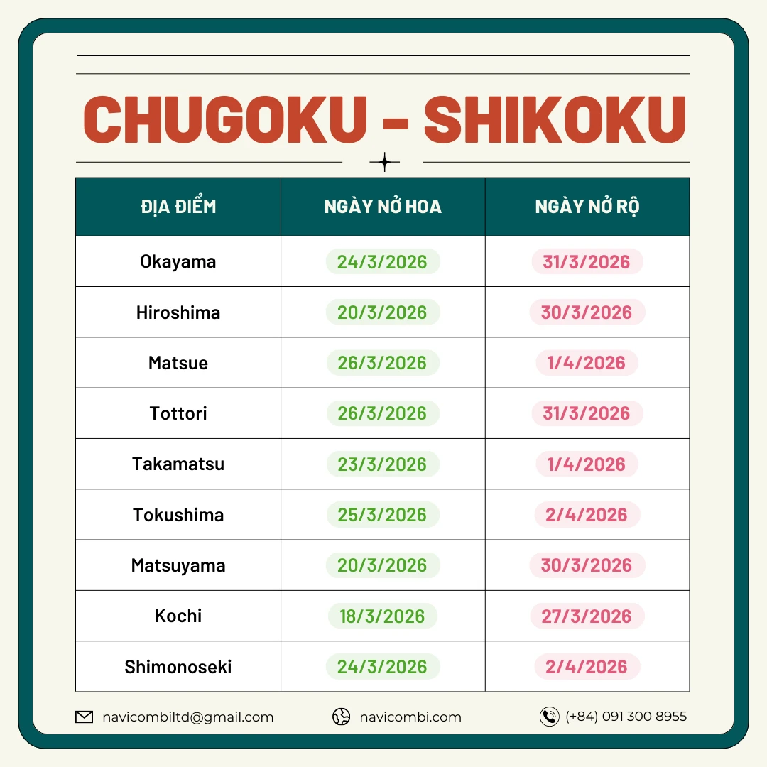 Lịch nở hoa anh đào vùng Chugoku - Shikoku 2026