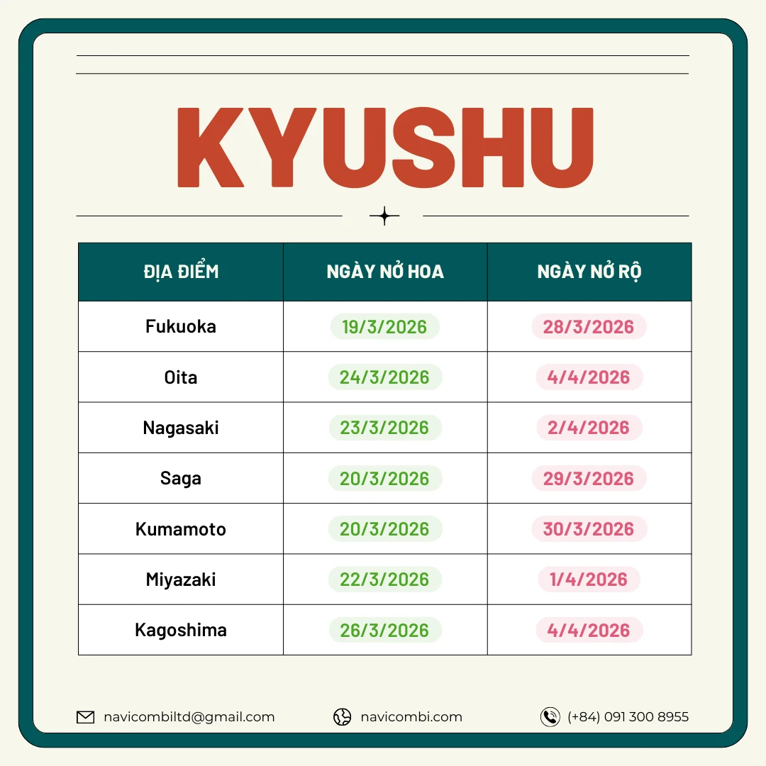Lịch nở hoa anh đào vùng Kyushu 2026