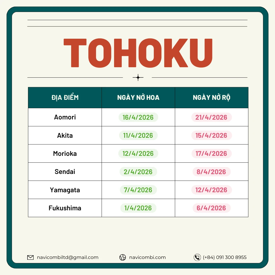 Lịch nở hoa anh đào vùng Tohoku 2026