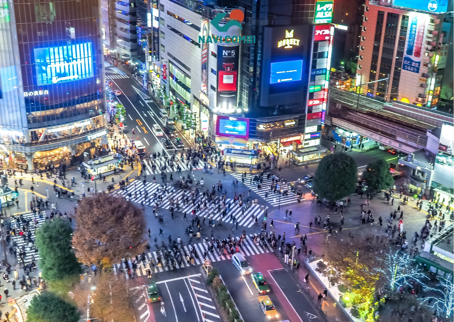 Shibuya Crossing at night