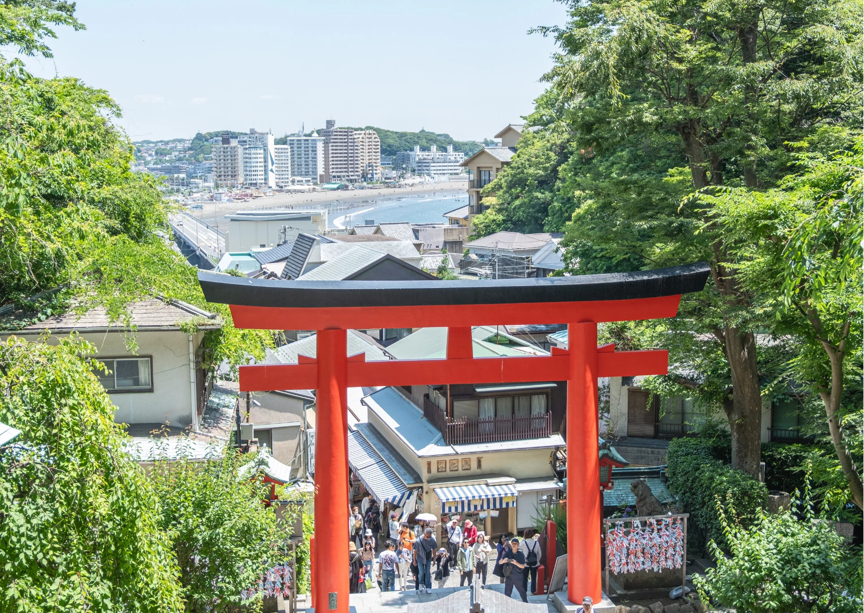 Vẻ đẹp uy nghiêm của cổng Torii đỏ tại đền Enoshima Jinja mùa hè